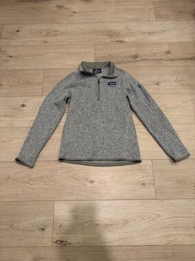 Patagonia Light Gray Fleece Pullover